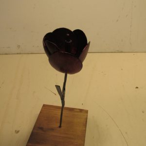 Flowers- Burnished Rose on Walnut Base