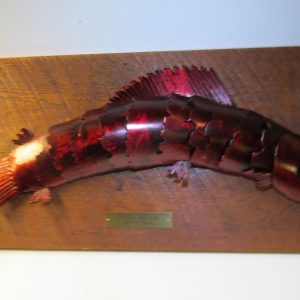 Fish- Red Steelhead